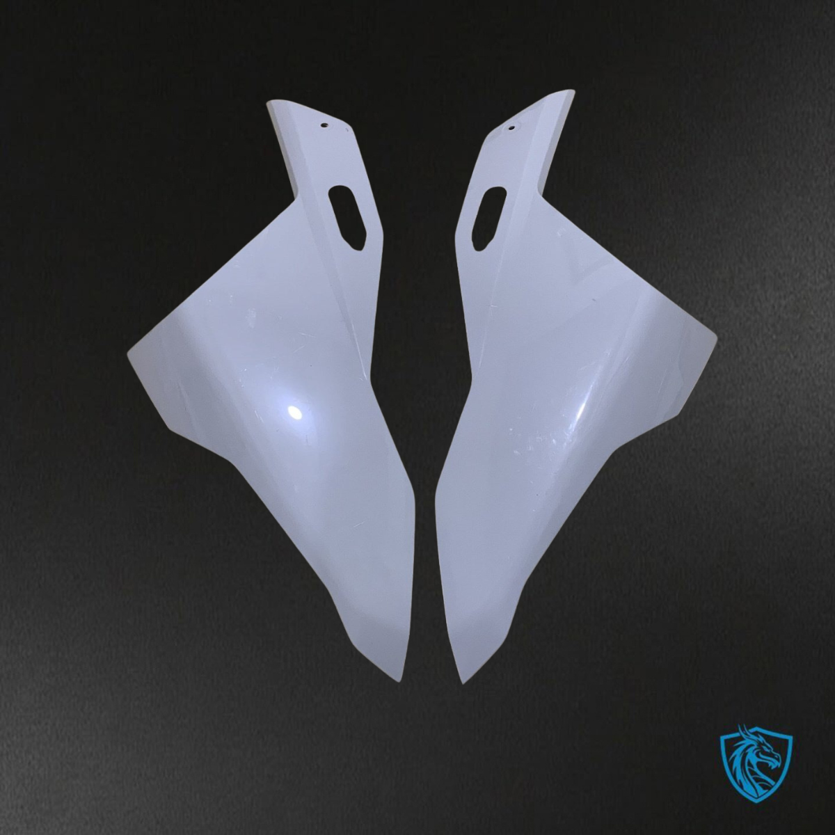 BMW S1000RR (2023) White & Black - Custom ABS Fairing Kit