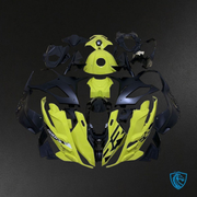 Yellow & Black