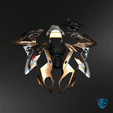 BMW S1000RR (2009-2014)  Bronze ABS Bodywork - Fairings Kit