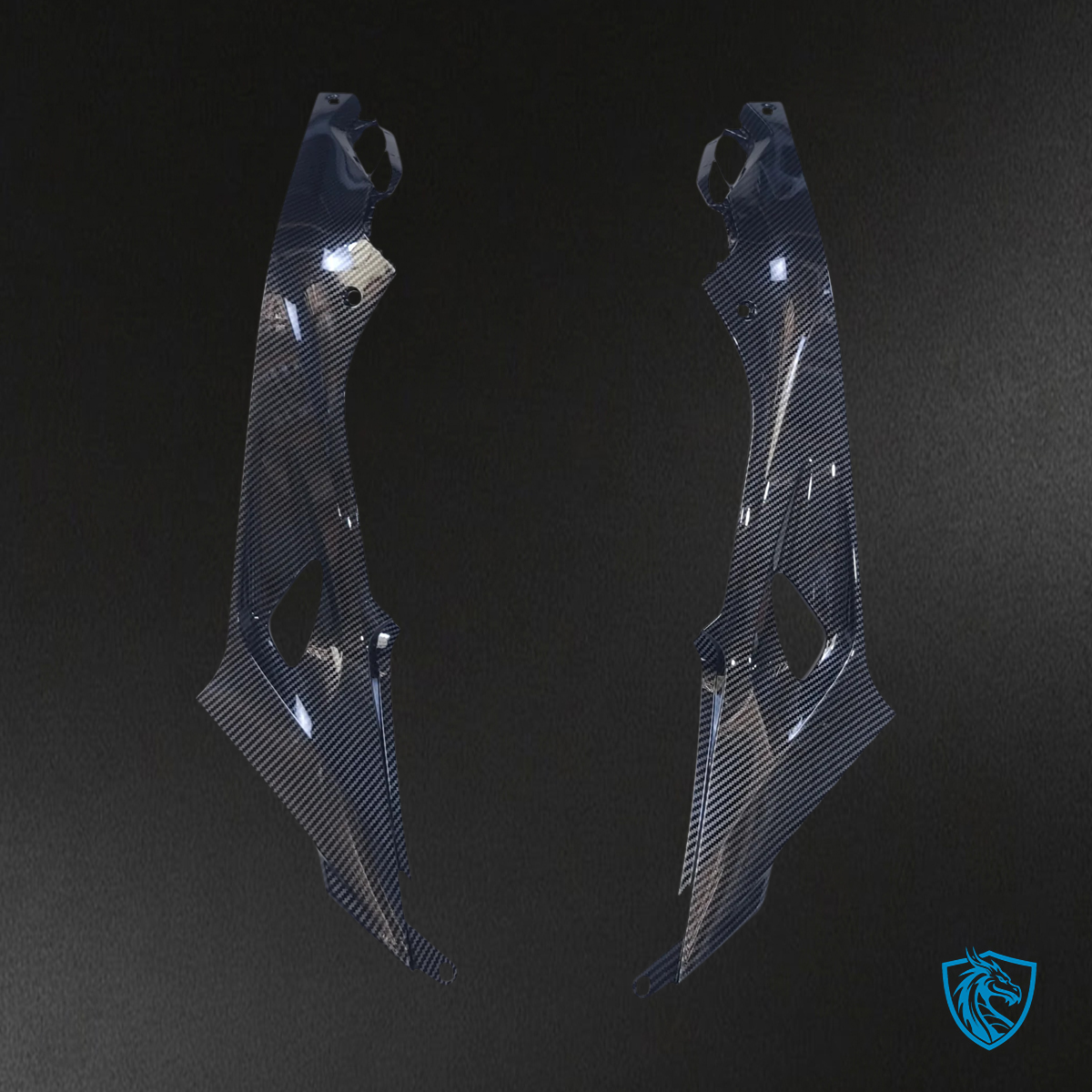 BMW S1000RR (2015-2016) Carbon Fiber Black ABS Fairing Kit - Tank Panel View