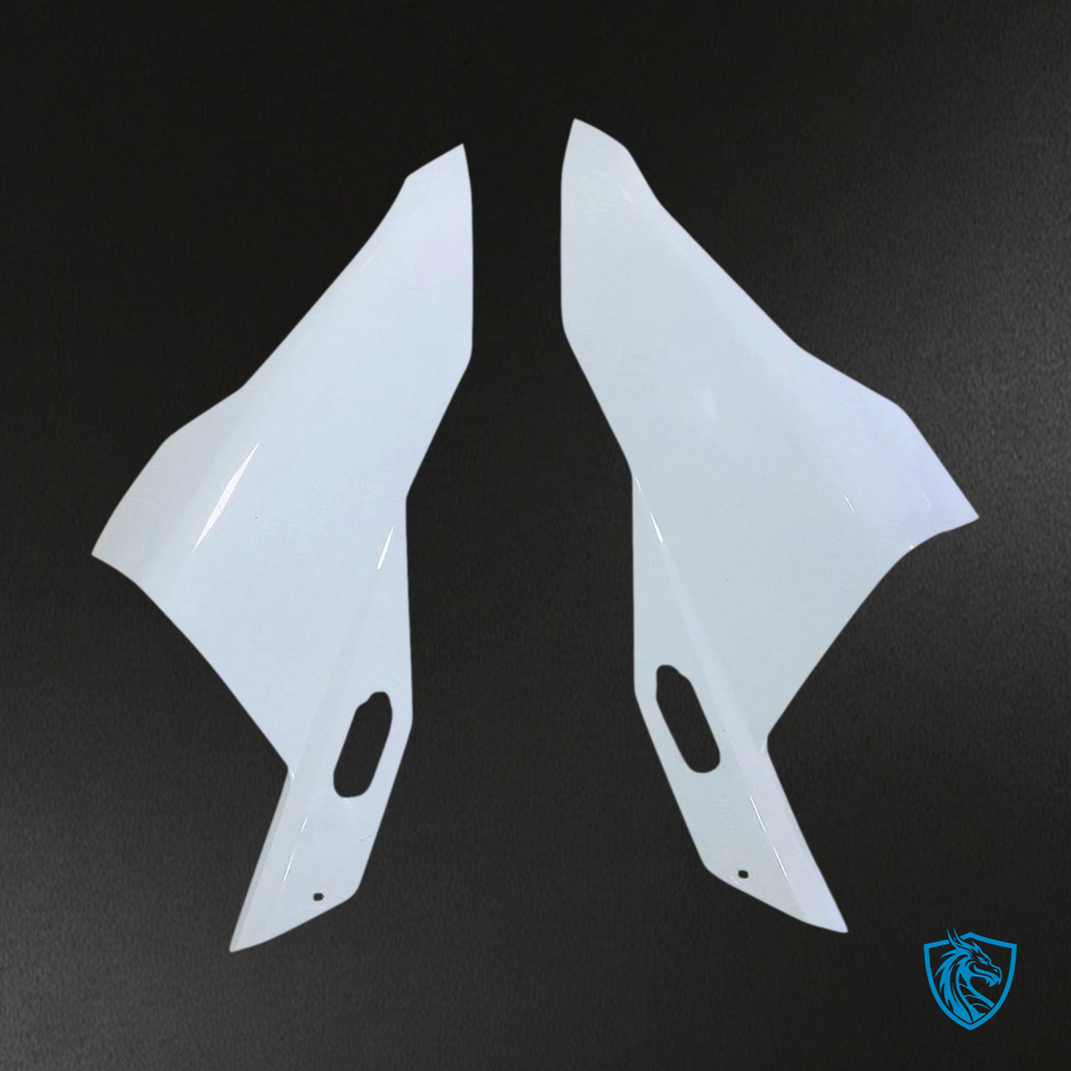 BMW S1000RR (2019-2022) unpainted - Fairing Set
