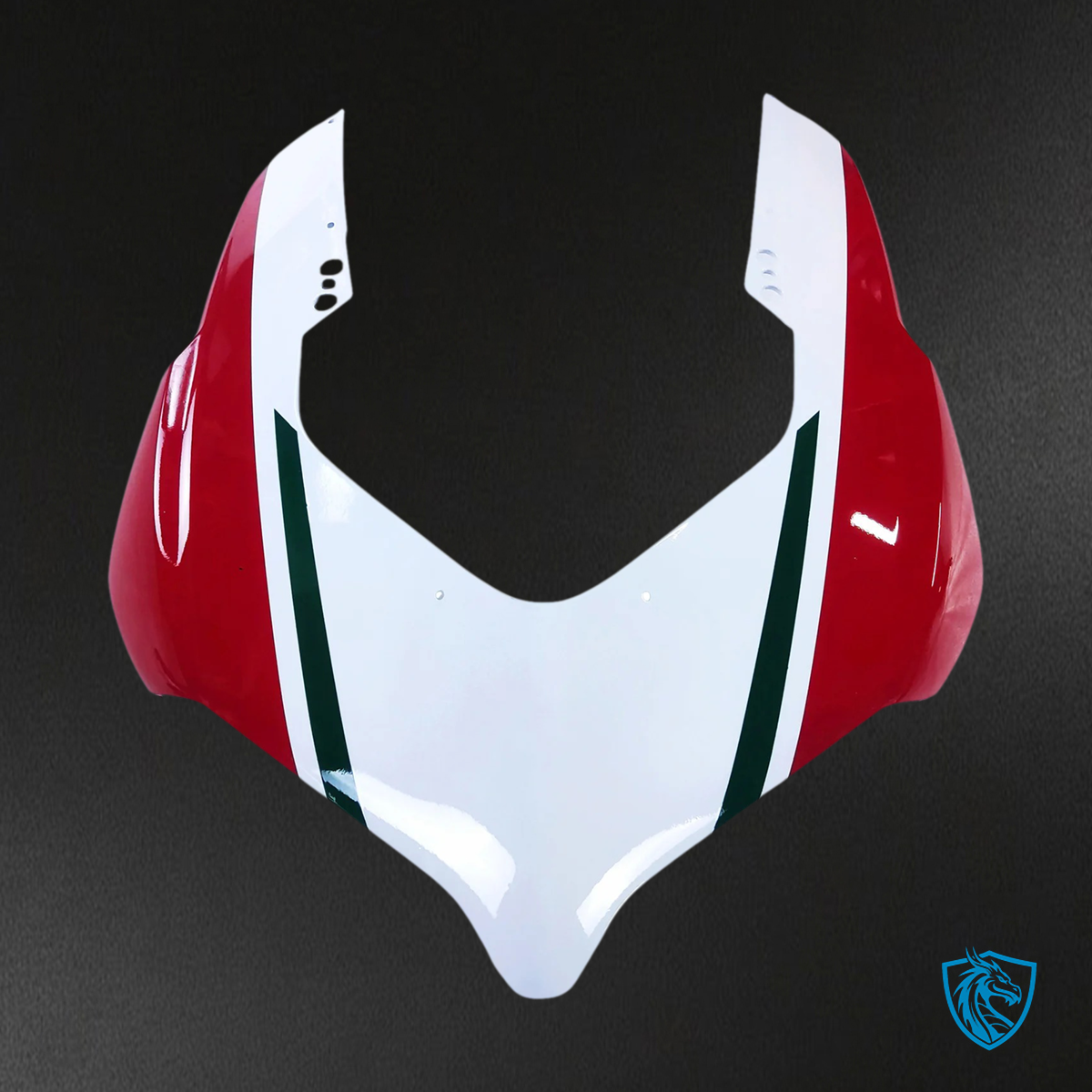 Ducati Panigale V4 V4S 2018-2019 Style 10 ABS Fairing Kit - Fitment View