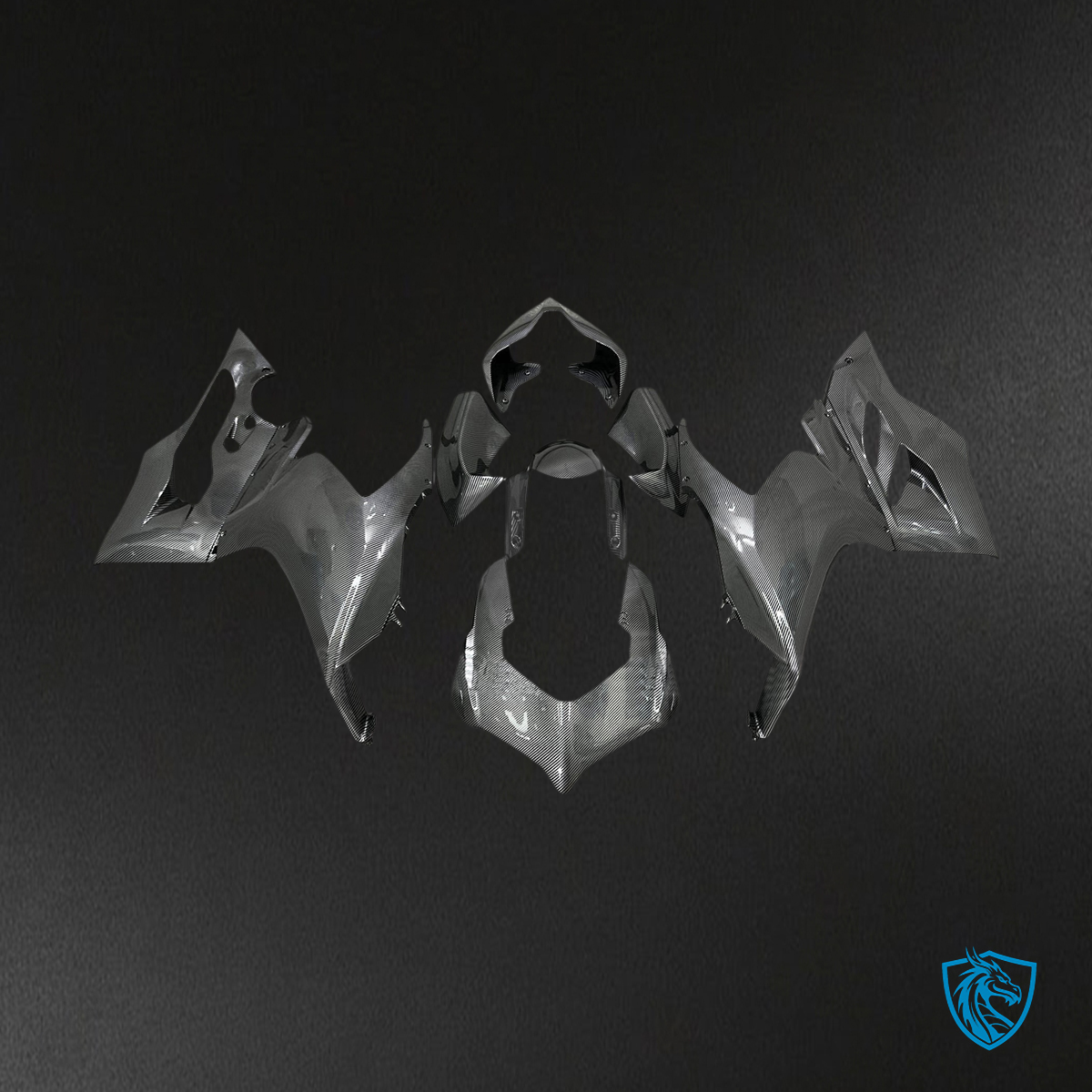 Ducati V2 (2020-2024) Carbon Fiber Pattern - Fairing Kit