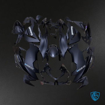 Kawasaki ZX-6R ZX636 (2019–2020) Gray & Black Carbon Fiber Fairings Kit - Aftermarket ABS Bodywork