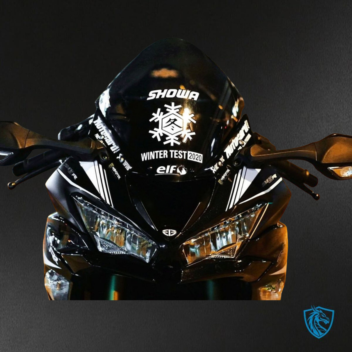 Kawasaki ZX-6R ZX636 (2019-2020) Black, Green & White Carbon Fiber ABS Bodywork - Fairings Kit