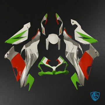 Kawasaki ZX-6R ZX636 (2019–2020) Gray, Red, White & Green - Custom ABS Fairing Kit