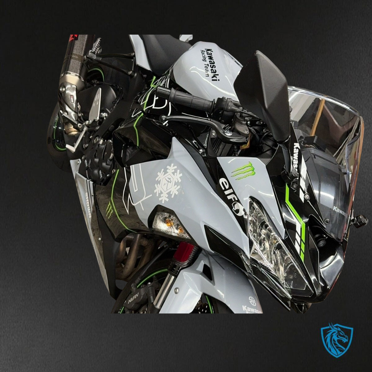 Kawasaki ZX-6R ZX636 (2019–2020) Glossy Gray, Black & Green - Custom ABS Fairing Kit
