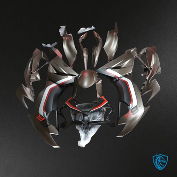 Kawasaki ZX-6R ZX636 (2019-2020) Brown, Black & White - Custom ABS Fairing Kit
