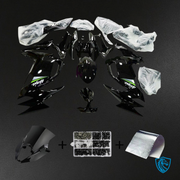 Ninja 650 Glossy Black