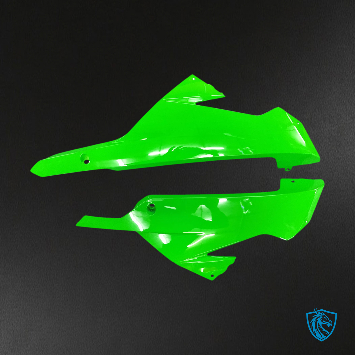 Kawasaki EX300R (2013-2024) Green & Black - Fairing Kit