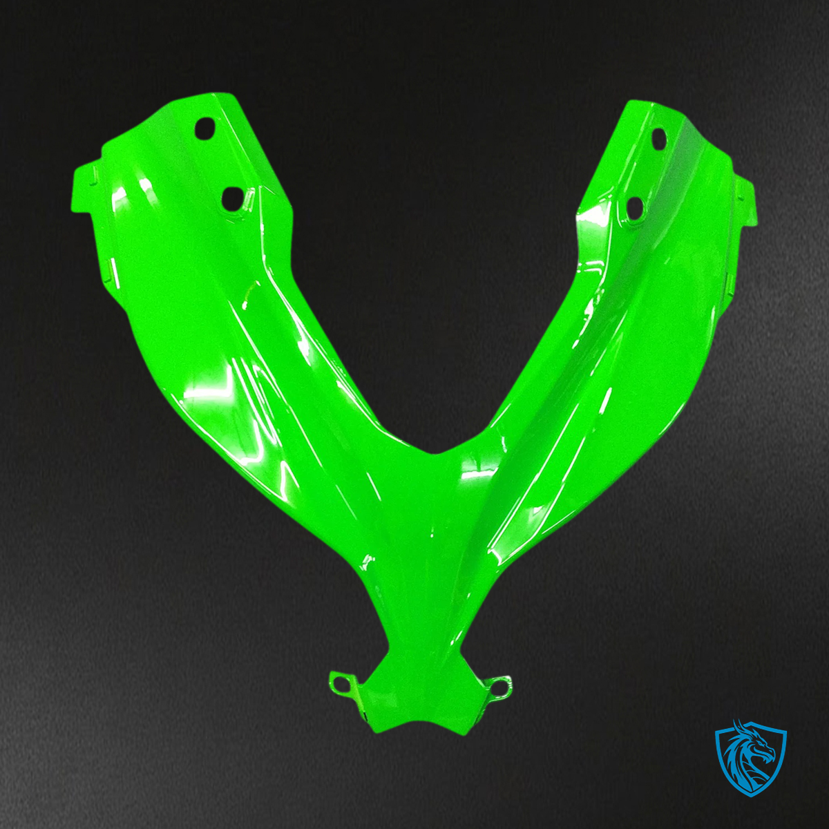 Kawasaki EX300R (2013-2024) Green & Black - Fairing Kit