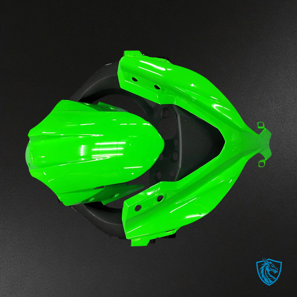 Kawasaki EX300R (2013-2024) Green & Black - Fairing Kit
