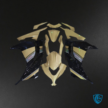 Kawasaki Ninja 300 (2013-2018) Gold & Black Motorcycle Fairing Kit - Aftermarket ABS Bodywork