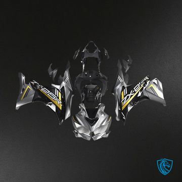Kawasaki Ninja ZX25R ZX4R ZX4RR (2019-2025) Black & Silver - Fairing Kit