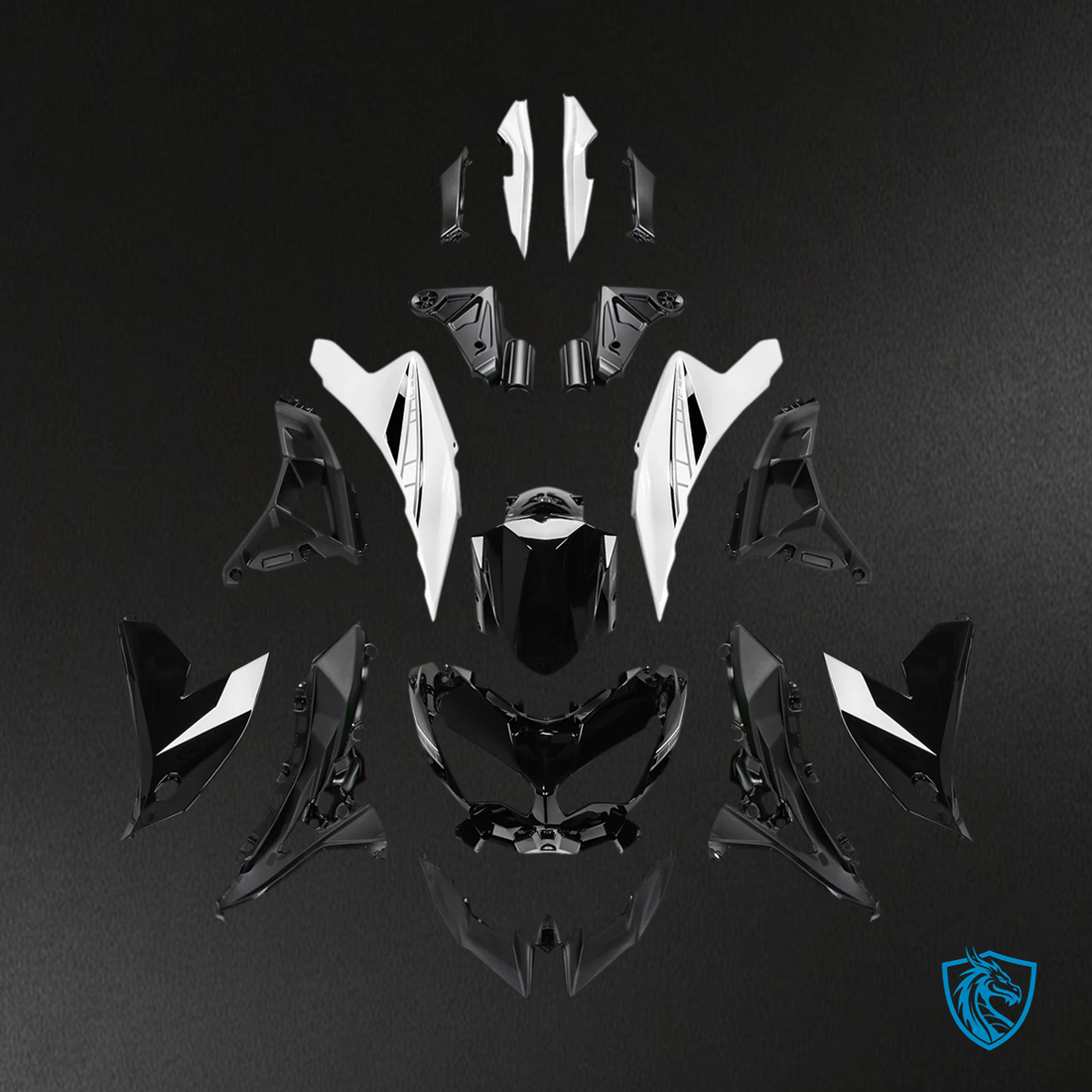 Kawasaki VERSYS 650 (2022-2024) KLE ABS Black & White - Custom ABS Fairing Set