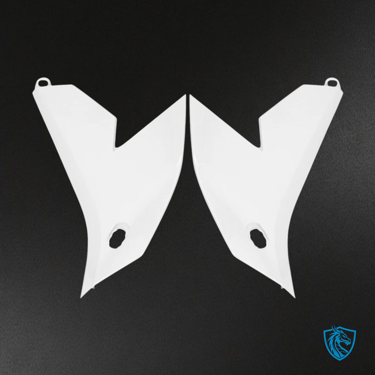 Kawasaki VERSYS 650 (2022-2024) KLE ABS White Fairing Kit | ABS Bodywork