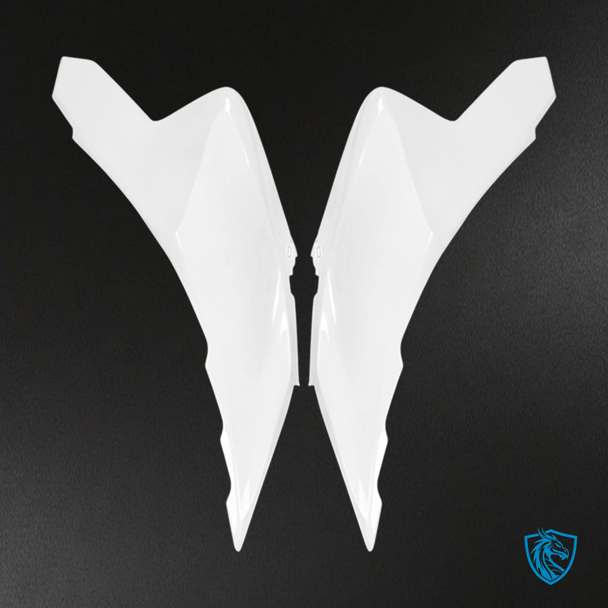 Kawasaki VERSYS 650 (2022-2024) KLE ABS White Fairing Kit | ABS Bodywork