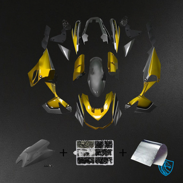 Kawasaki Z1000 (2010-2013) Black & Gold - Custom ABS Fairing Set