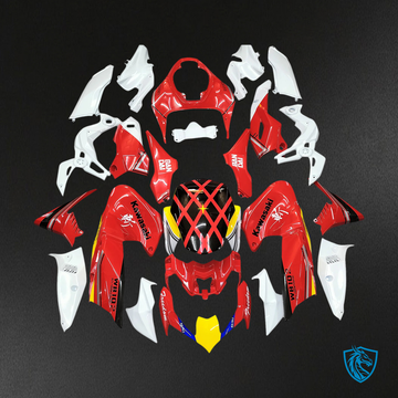 Kawasaki Z900 (2020-2024) Red & White - Fairing Kit