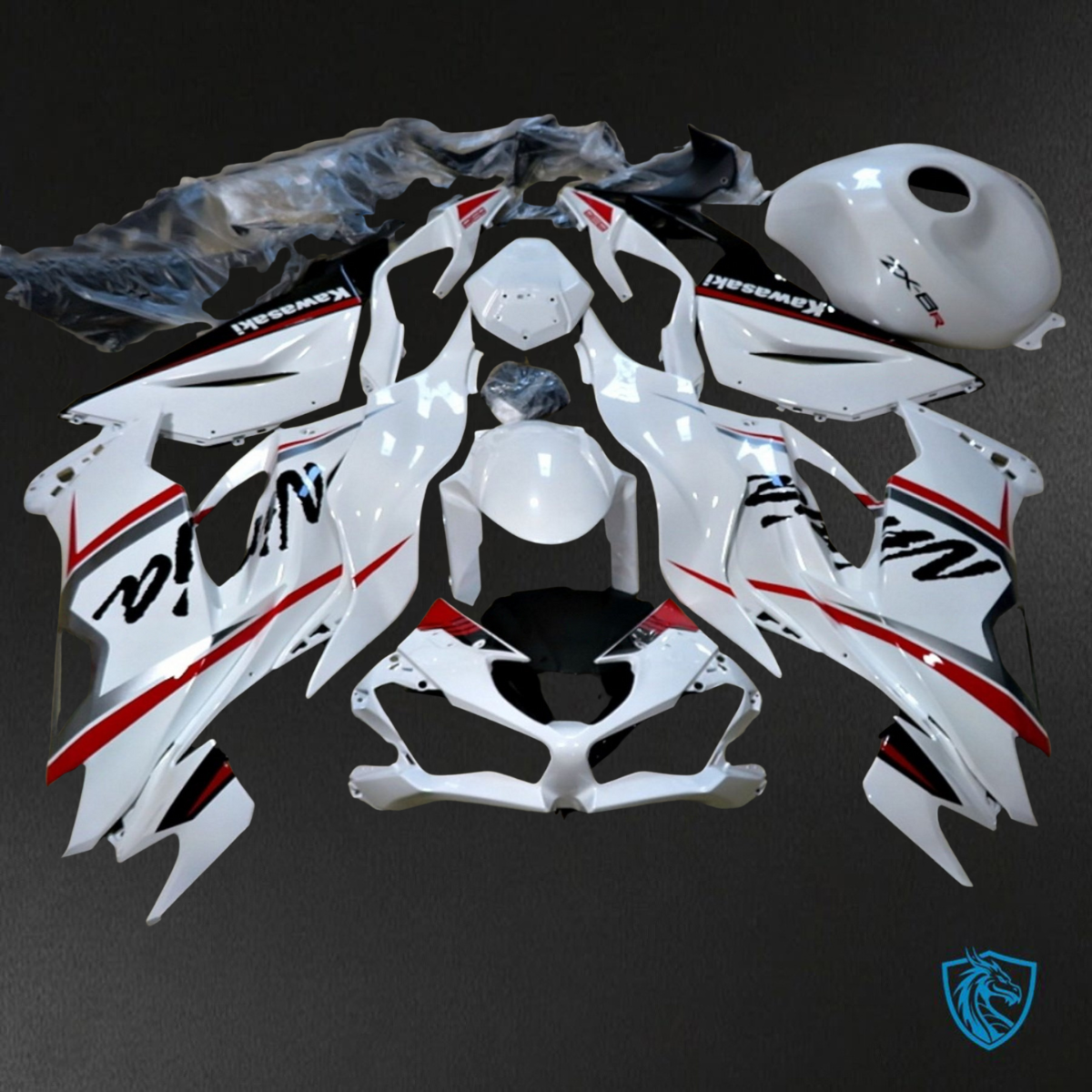 Kawasaki ZX-6R ZX636 (2019-2020) White Stripes - Replacement Motorcycle Fairings Kit