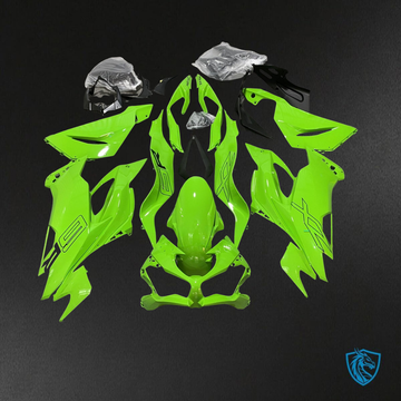 Kawasaki ZX-6R ZX636 (2019–2020) Glossy Green & Black - Custom ABS Fairing Kit