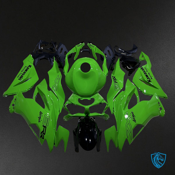 Kawasaki ZX-6R ZX636 (2019-2020) Glossy Green & Black ABS Bodywork - Fairings Kit