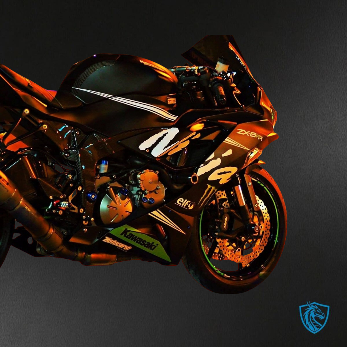Kawasaki ZX-6R ZX636 (2019-2020) Black Monster ABS Bodywork - Fairings Kit