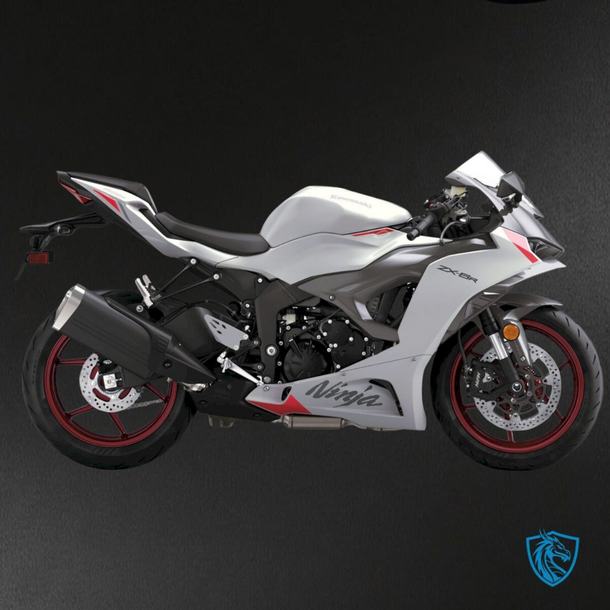 Kawasaki ZX-6R ZX636 (2023–2024) White & Gray Logo - Replacement Motorcycle Fairings Kit