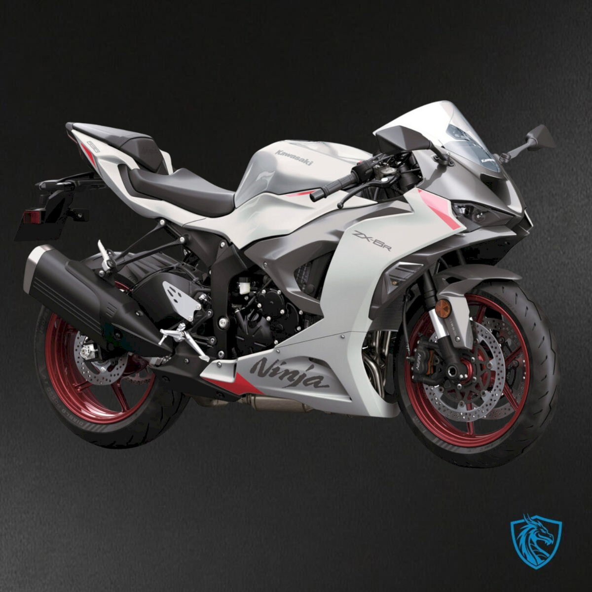 Kawasaki ZX-6R ZX636 (2023–2024) White & Gray Logo - Replacement Motorcycle Fairings Kit