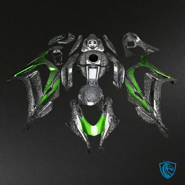 Kawasaki ZX10R (2016-2020) Gloss Green & Silver Carbon - MERGEment Motorcycle Fairings Kit