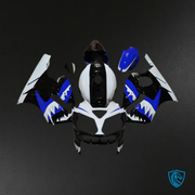 Blue Shark