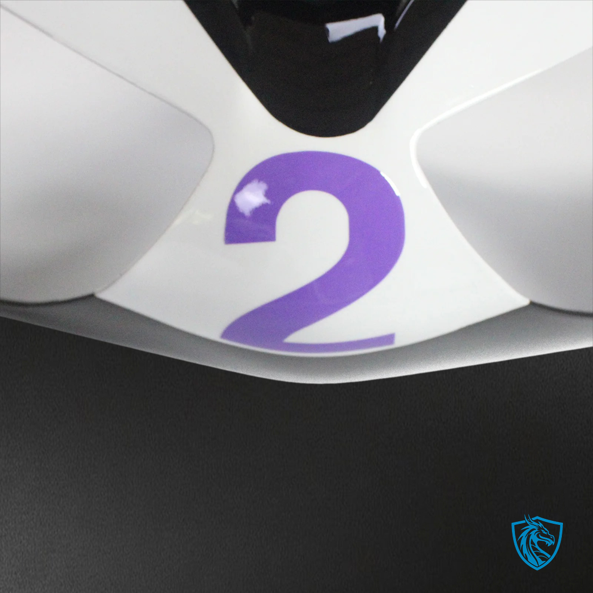 Kawasaki ZX6R (2005-2006) Black & White Playboy - Fairing Kit