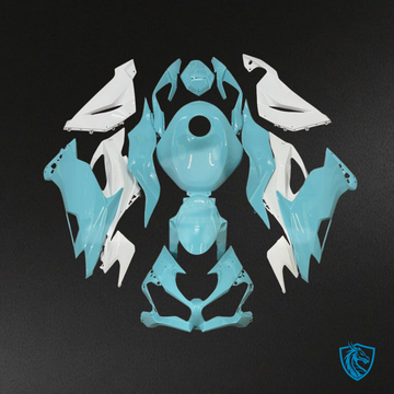 Kawasaki ZX6R (2019-2023) Aqua & White - Custom ABS Fairing Kit