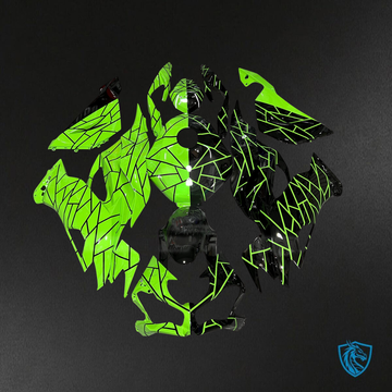 Kawasaki ZX6R (2019-2023) Gloss Black & Green Split ABS Bodywork - Fairings Kit