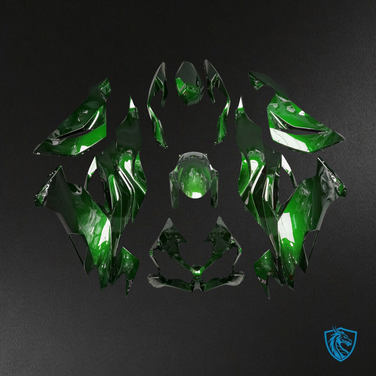 Kawasaki ZX6R (2019-2023) Gloss Green Carbon Fiber ABS Bodywork - Fairings Kit