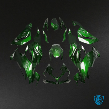 Kawasaki ZX6R (2019-2023) Gloss Green & Matelic Black - Custom ABS Fairing Kit