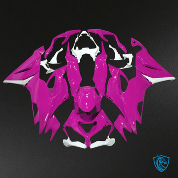Kawasaki ZX6R (2019-2023) Gloss Pink & White - Custom ABS Fairing Kit