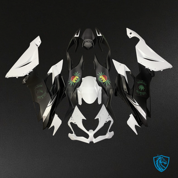 Kawasaki ZX6R (2019-2023) Matte White & Black - MERGEment Motorcycle Fairings Kit