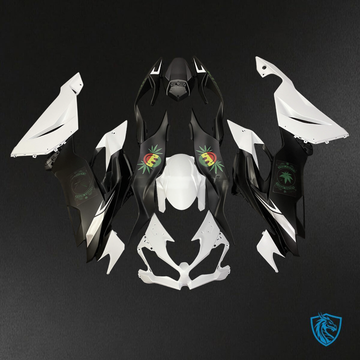 Kawasaki ZX6R (2019-2023) Matte White & Black - Custom ABS Fairing Kit