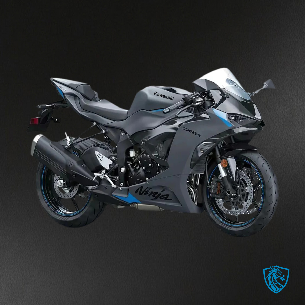 Kawasaki ZX6R (2024-2025) Gray & Matte Black - Fairing Kit