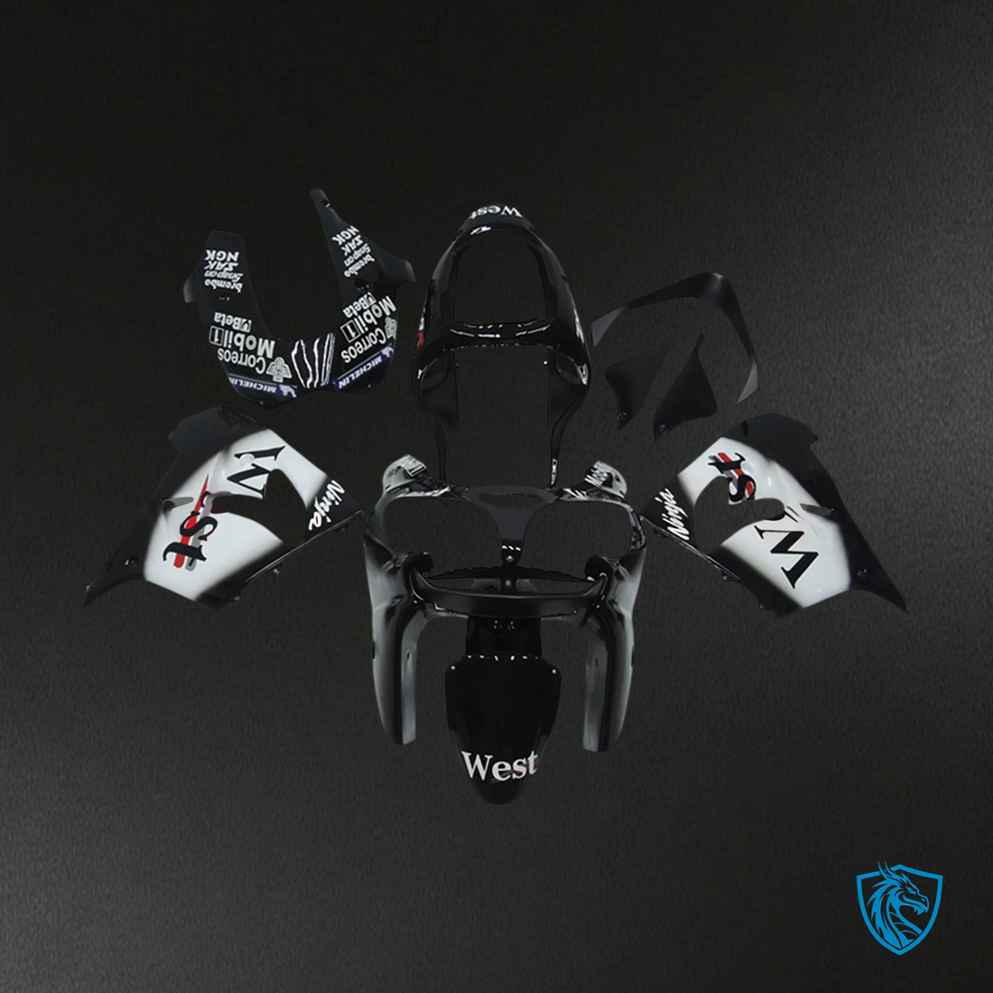 Kawasaki ZX9R (2002-2003) Black & White - Fairing Kit