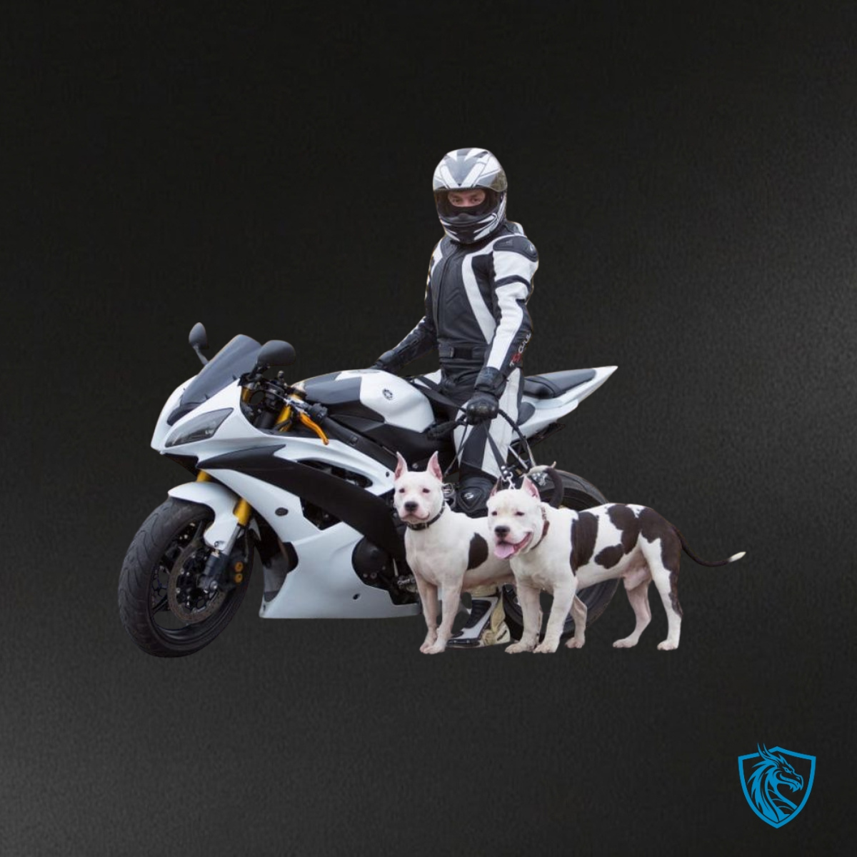 Yamaha YZF R6 (2008-2016) Black & White Fairing Kit - Aftermarket ABS Bodywork